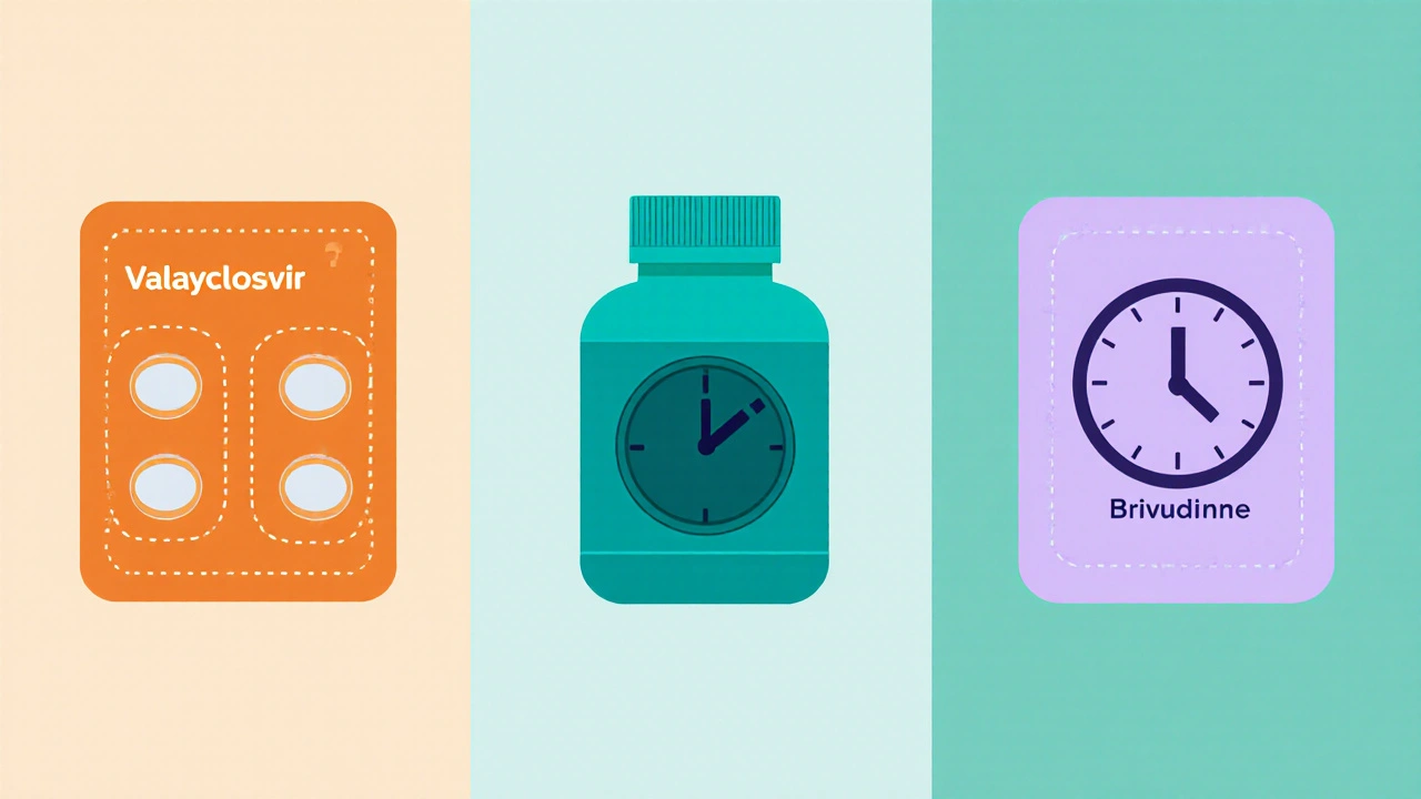 Illustration à trois panneaux montrant Valacyclovir, Famciclovir et Brivudine avec icônes de dosage.